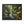 Forest Matte Canvas – Black Frame Wall Art - Dipaliz - Prints