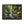 Forest Matte Canvas – Black Frame Wall Art - Dipaliz - Prints