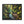 Forest Matte Canvas – Black Frame Wall Art - Dipaliz - Prints