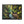 Forest Matte Canvas – Black Frame Wall Art - Dipaliz - Prints
