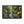 Forest Matte Canvas – Black Frame Wall Art - Dipaliz - Prints