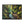 Forest Matte Canvas – Black Frame Wall Art - Dipaliz - Prints