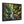 Forest Matte Canvas – Black Frame Wall Art - Dipaliz - Prints
