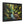 Forest Matte Canvas – Black Frame Wall Art - Dipaliz - Prints