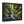 Forest Matte Canvas – Black Frame Wall Art - Dipaliz - Prints