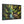 Forest Matte Canvas – Black Frame Wall Art - Dipaliz - Prints