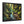 Forest Matte Canvas – Black Frame Wall Art - Dipaliz - Prints