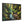 Forest Matte Canvas – Black Frame Wall Art - Dipaliz - Prints