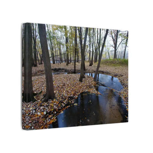 Autumn Season Matte Canvas Creek Woods Wall Art Ready to Hang Dipaliz - Posters Prints & Visual Artwork