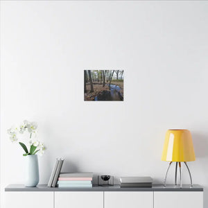 Autumn Season Matte Canvas Creek Woods Wall Art Ready to Hang Dipaliz - Posters Prints & Visual Artwork