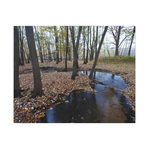 Autumn Season Matte Canvas Creek Woods Wall Art Ready to Hang Dipaliz - 20’’ x 16’’ (horizontal) / 0.75’’ - Posters
