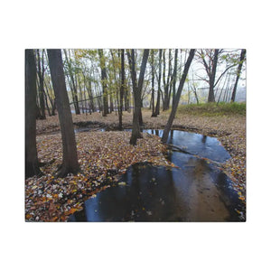 Autumn Season Matte Canvas Creek Woods Wall Art Ready to Hang Dipaliz - 14″ x 11″ (horizontal) / 0.75’’ - Posters