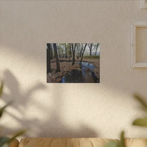 Autumn Season Matte Canvas Creek Woods Wall Art Ready to Hang Dipaliz - Posters Prints & Visual Artwork