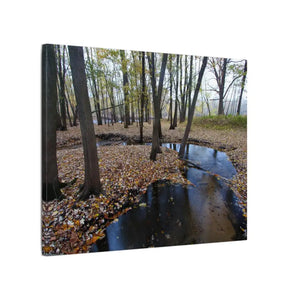 Autumn Season Matte Canvas Creek Woods Wall Art Ready to Hang Dipaliz - Posters Prints & Visual Artwork