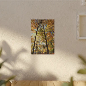 Fall Foliage Matte Canvas - Autumn Trees Stretched Art - Dipaliz - Posters Prints & Visual Artwork