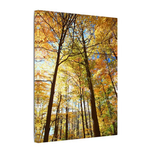 Fall Foliage Matte Canvas - Autumn Trees Stretched Art - Dipaliz - Posters Prints & Visual Artwork