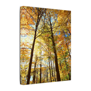 Fall Foliage Matte Canvas - Autumn Trees Stretched Art - Dipaliz - Posters Prints & Visual Artwork