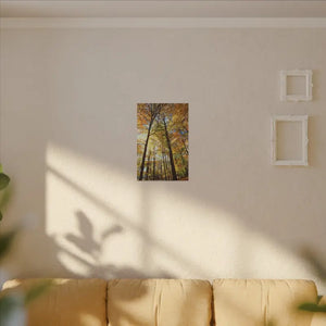 Fall Foliage Matte Canvas - Autumn Trees Stretched Art - Dipaliz - Posters Prints & Visual Artwork