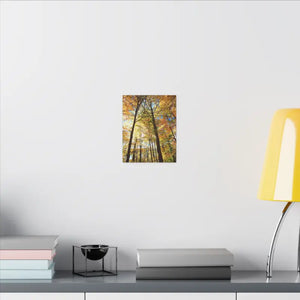 Fall Foliage Matte Canvas - Autumn Trees Stretched Art - Dipaliz - Posters Prints & Visual Artwork