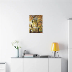 Fall Foliage Matte Canvas - Autumn Trees Stretched Art - Dipaliz - Posters Prints & Visual Artwork