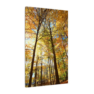 Fall Foliage Matte Canvas - Autumn Trees Stretched Art - Dipaliz - Posters Prints & Visual Artwork