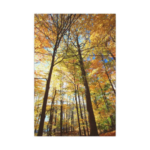 Fall Foliage Matte Canvas - Autumn Trees Stretched Art - Dipaliz - 16″ x 24″ (vertical) / 0.75’’ - Posters Prints &