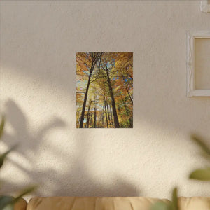 Fall Foliage Matte Canvas - Autumn Trees Stretched Art - Dipaliz - Posters Prints & Visual Artwork