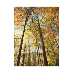 Fall Foliage Matte Canvas - Autumn Trees Stretched Art - Dipaliz - 9’’ x 12’’ (vertical) / 0.75’’ - Posters Prints &