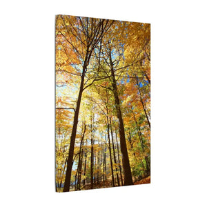 Fall Foliage Matte Canvas - Autumn Trees Stretched Art - Dipaliz - Posters Prints & Visual Artwork