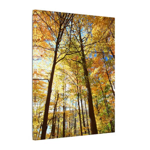 Fall Foliage Matte Canvas - Autumn Trees Stretched Art - Dipaliz - Posters Prints & Visual Artwork