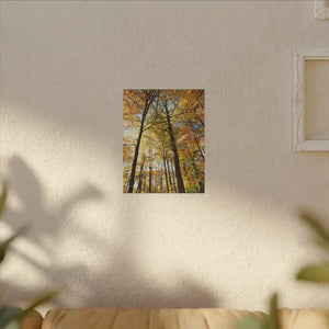 Fall Foliage Matte Canvas - Autumn Trees Stretched Art - Dipaliz - Posters Prints & Visual Artwork