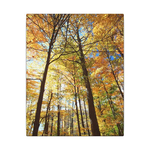 Fall Foliage Matte Canvas - Autumn Trees Stretched Art - Dipaliz - 8″ x 10″ (vertical) / 0.75’’ - Posters Prints &