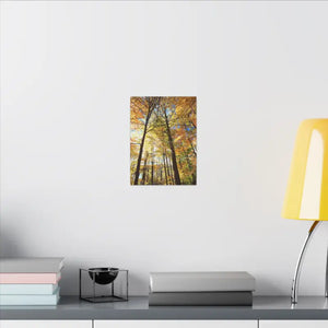 Fall Foliage Matte Canvas - Autumn Trees Stretched Art - Dipaliz - Posters Prints & Visual Artwork
