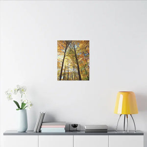 Fall Foliage Matte Canvas - Autumn Trees Stretched Art - Dipaliz - 16″ x 20″ (vertical) / 0.75’’ - Posters Prints &