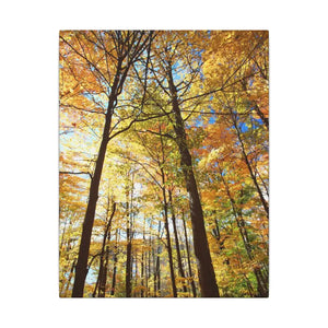 Fall Foliage Matte Canvas - Autumn Trees Stretched Art - Dipaliz - 11″ x 14″ (vertical) / 0.75’’ - Posters Prints &
