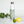 Floral Stainless Steel Water Bottle - Green - Dipaliz - Bottles