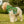 Floral Green Dog Hoodie - White Rib Color Comfort - Dipaliz - Pet Hoodies