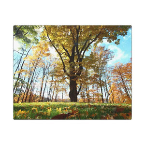 Autumn Season Matte Canvas Giant Tree Wall Art Print - Dipaliz - 10’’ x 8’’ (horizontal) / 0.75’’ - Posters Prints &