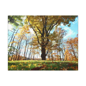 Autumn Season Matte Canvas Giant Tree Wall Art Print - Dipaliz - 14″ x 11″ (horizontal) / 0.75’’ - Posters Prints &