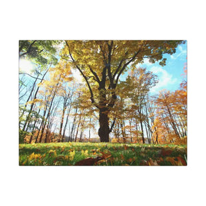 Autumn Season Matte Canvas Giant Tree Wall Art Print - Dipaliz - 16″ x 12″ (horizontal) / 0.75’’ - Posters Prints &