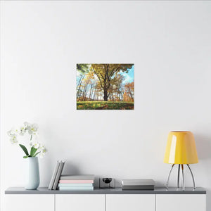 Autumn Season Matte Canvas Giant Tree Wall Art Print - Dipaliz - Posters Prints & Visual Artwork