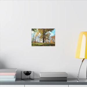 Autumn Season Matte Canvas Giant Tree Wall Art Print - Dipaliz - Posters Prints & Visual Artwork