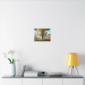Autumn Season Matte Canvas Giant Tree Wall Art Print - Dipaliz - Posters Prints & Visual Artwork