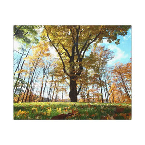Autumn Season Matte Canvas Giant Tree Wall Art Print - Dipaliz - 20’’ x 16’’ (horizontal) / 0.75’’ - Posters Prints &