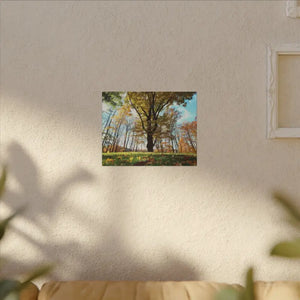 Autumn Season Matte Canvas Giant Tree Wall Art Print - Dipaliz - Posters Prints & Visual Artwork