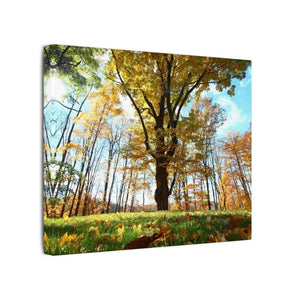 Autumn Season Matte Canvas Giant Tree Wall Art Print - Dipaliz - Posters Prints & Visual Artwork