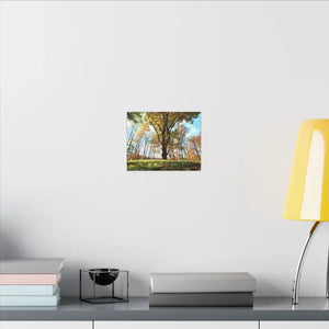 Autumn Season Matte Canvas Giant Tree Wall Art Print - Dipaliz - Posters Prints & Visual Artwork
