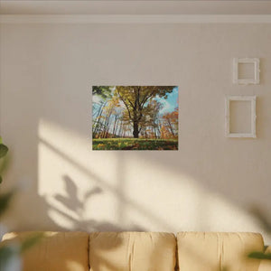 Autumn Season Matte Canvas Giant Tree Wall Art Print - Dipaliz - 32’’ x 24’’ (horizontal) / 0.75’’ - Posters Prints &