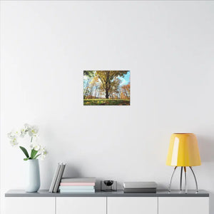 Autumn Season Matte Canvas Giant Tree Wall Art Print - Dipaliz - Posters Prints & Visual Artwork
