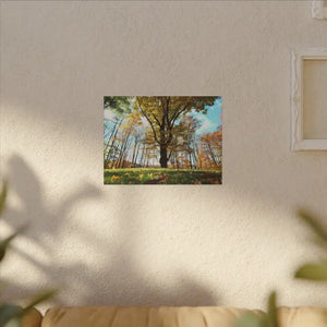 Autumn Season Matte Canvas Giant Tree Wall Art Print - Dipaliz - Posters Prints & Visual Artwork